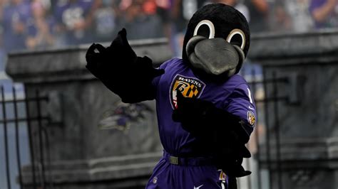 Ravens mascot tryouts elimination round